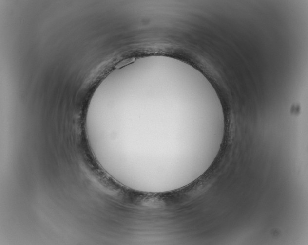 X0000112800258200909181543