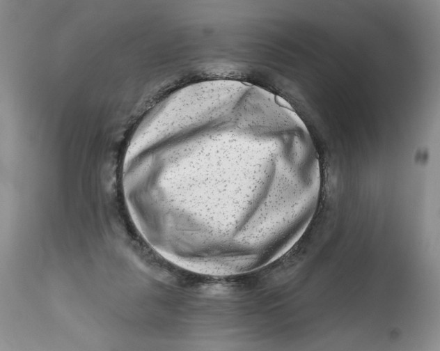 X0000112800259200909181543