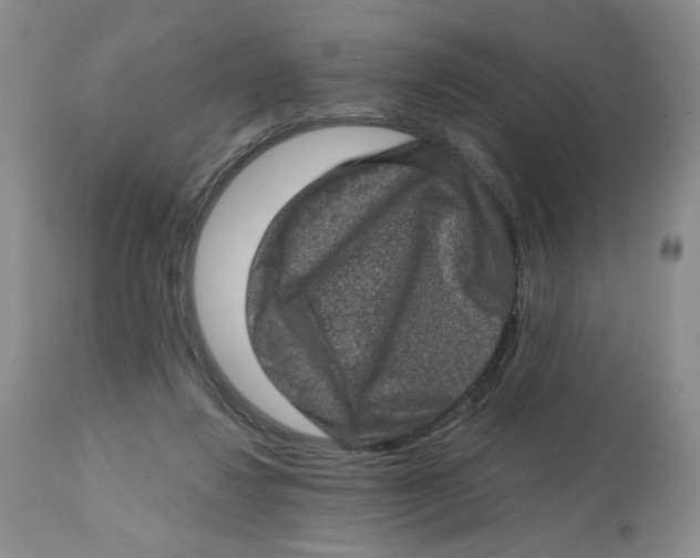 X0000112800260200909181543