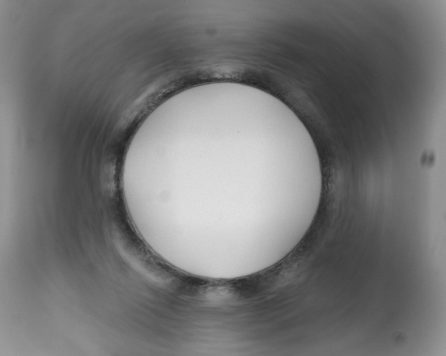 X0000112800262200909181543