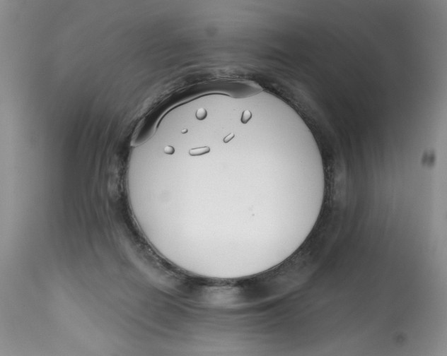 X0000112800266200909181543