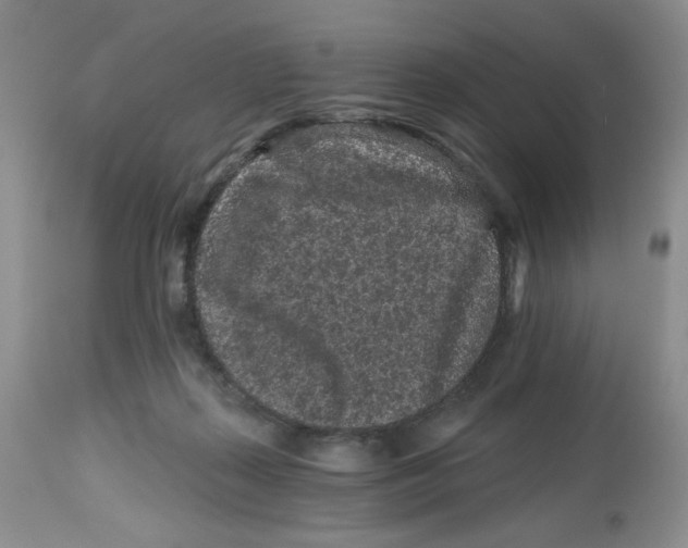 X0000112800267200909181543