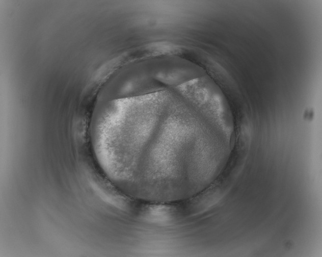 X0000112800268200909181543