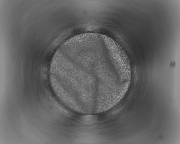 X0000112800269200909181543