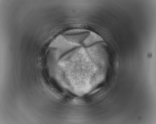 X0000112800270200909181543