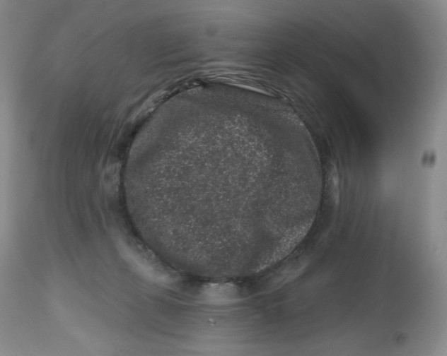 X0000112800271200909181543