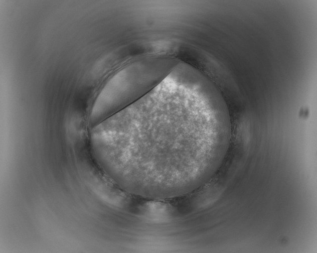 X0000112800272200909181543