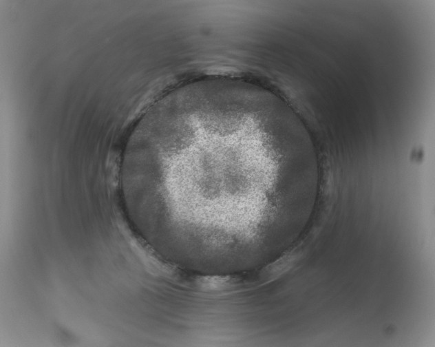 X0000112800273200909181543