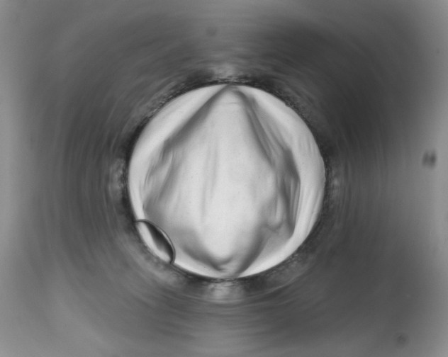 X0000112800275200909181543