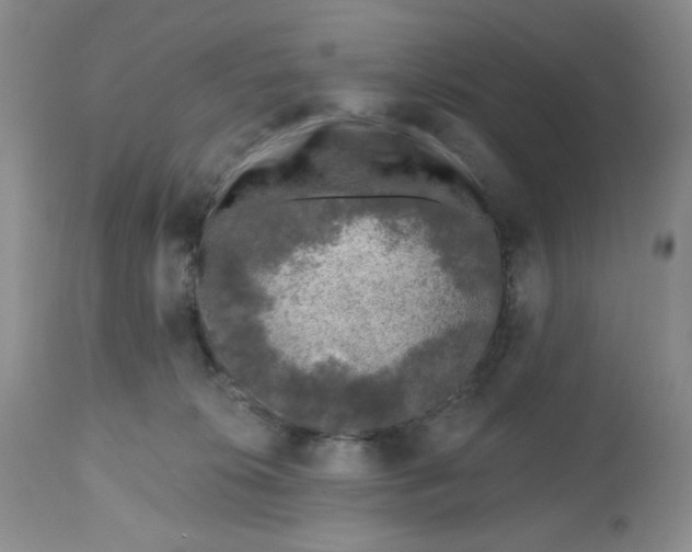 X0000112800276200909181543