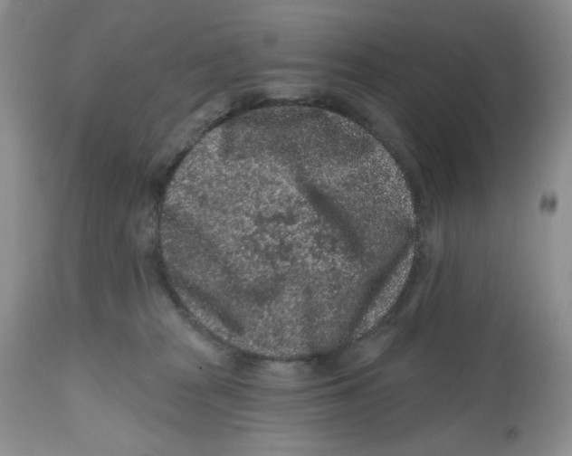 X0000112800277200909181543