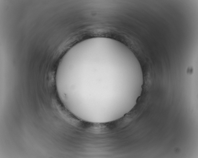 X0000112800278200909181543
