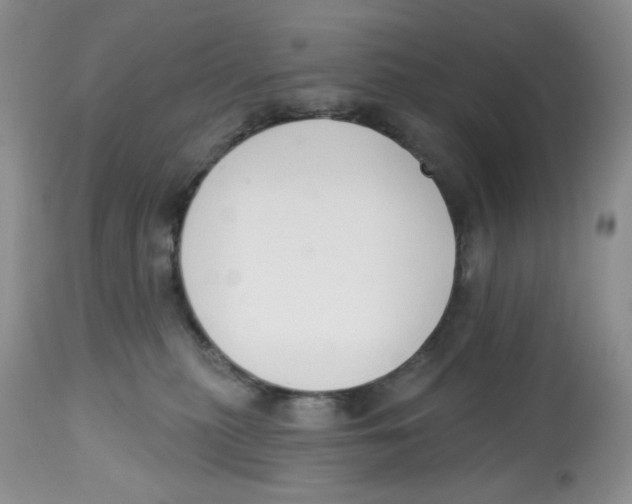 X0000112800279200909181543