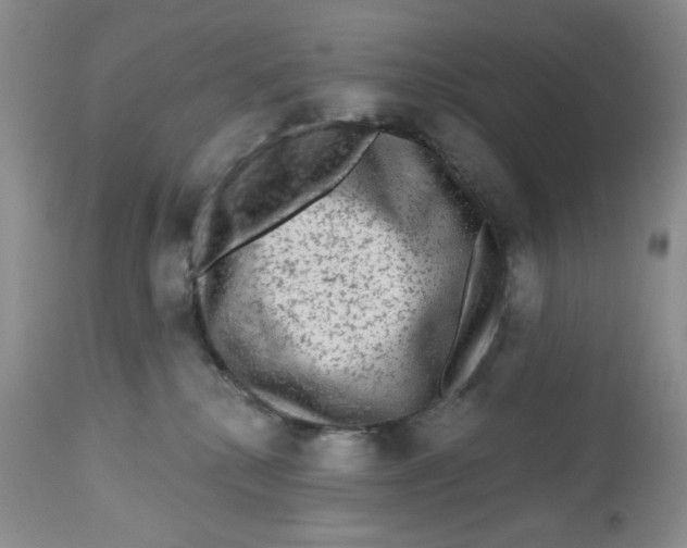 X0000112800280200909181543