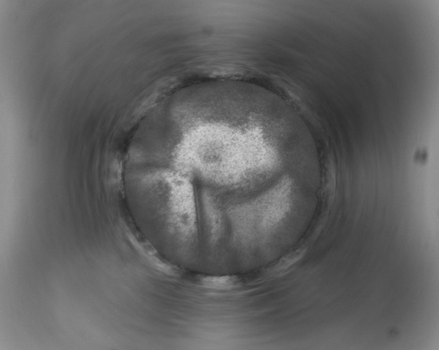 X0000112800281200909181544