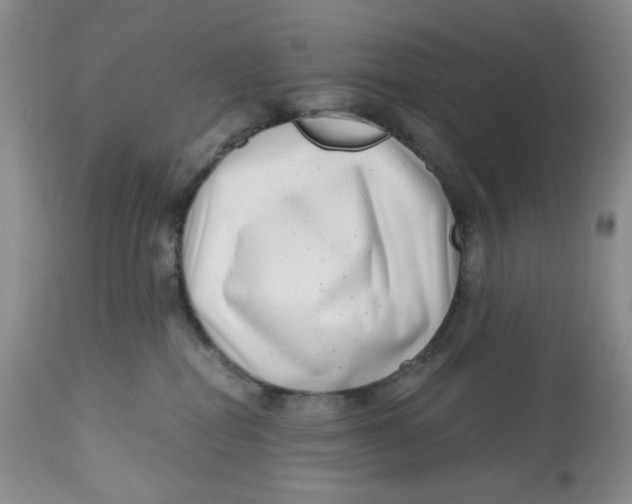 X0000112800282200909181544