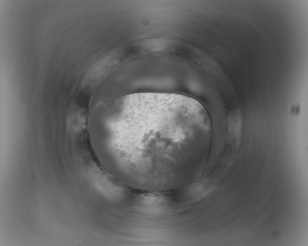 X0000112800284200909181544