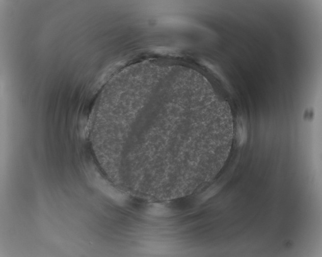 X0000112800285200909181544