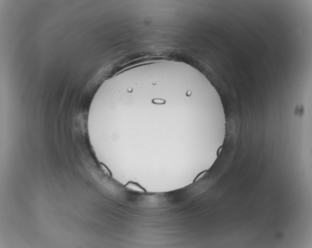 X0000112800286200909181544