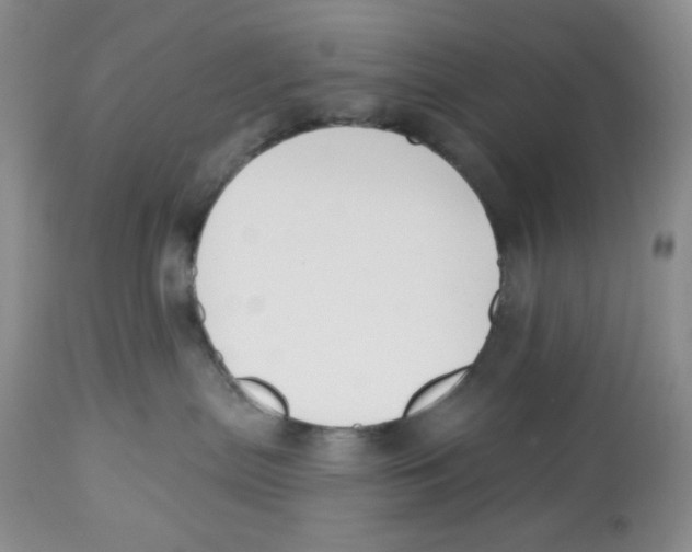 X0000112800287200909181544
