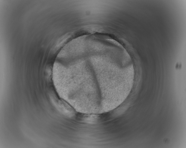 X0000112800288200909181544