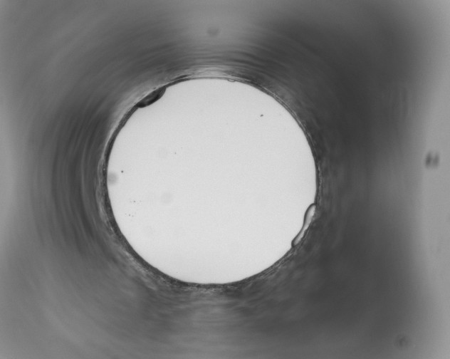 X0000112800289200909181543