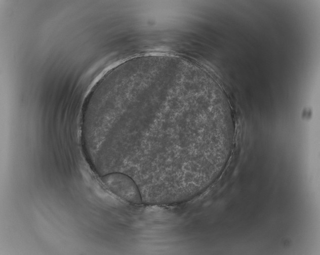 X0000112800290200909181543