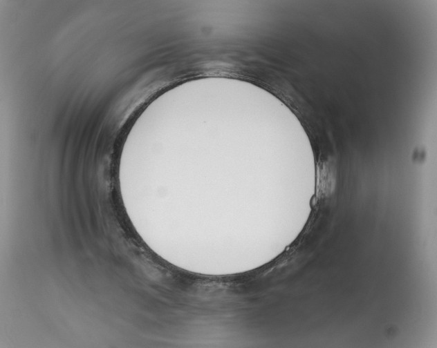 X0000112800291200909181543