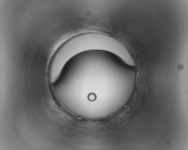 X0000112800292200909181543