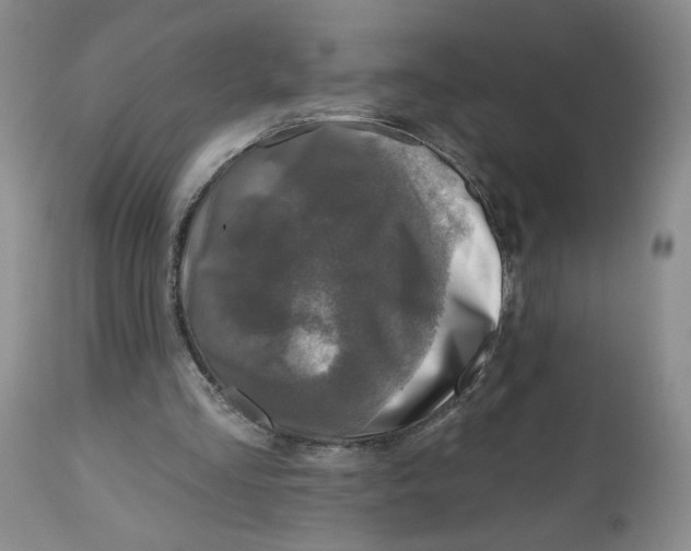X0000112800293200909181543