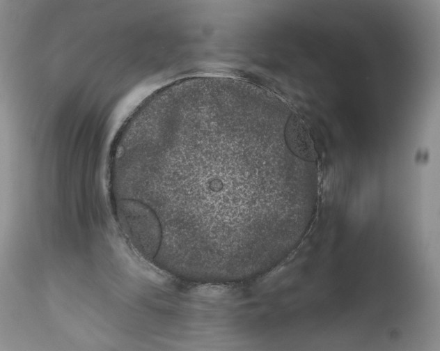X0000112800294200909181543