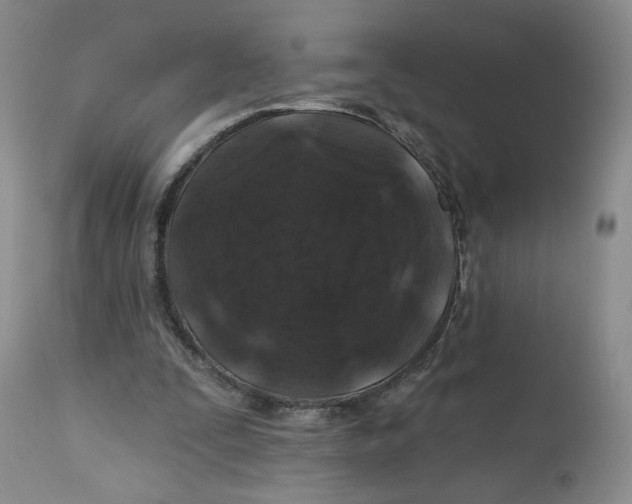 X0000112800295200909181543