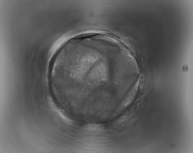 X0000112800296200909181543