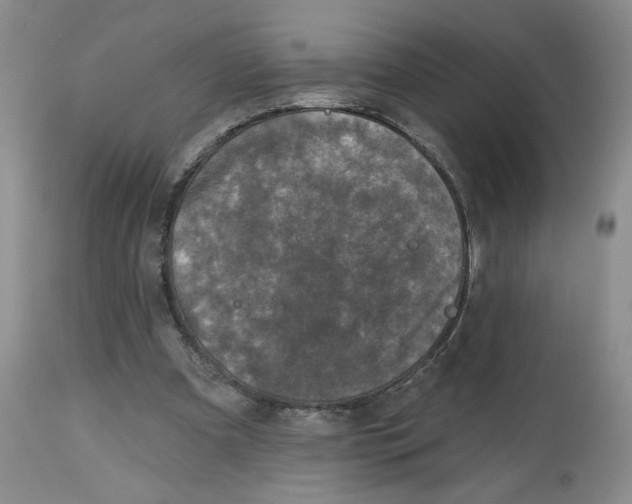 X0000112800297200909181543