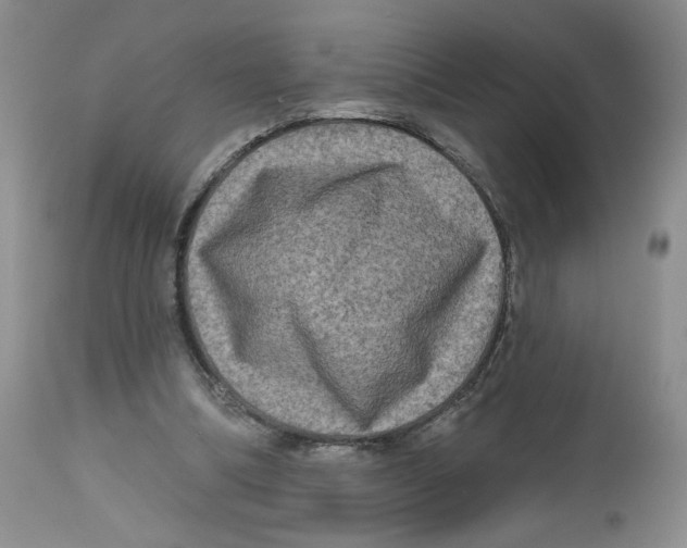 X0000112800298200909181543