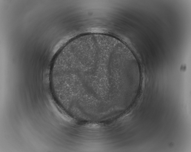 X0000112800299200909181543