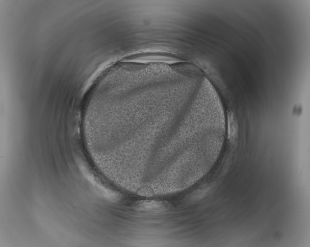 X0000112800300200909181543