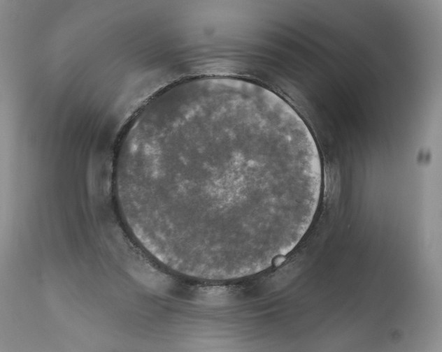 X0000112800301200909181543