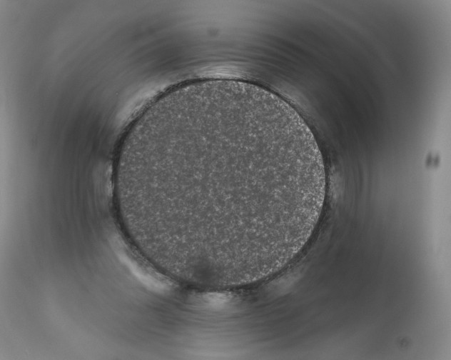 X0000112800302200909181543