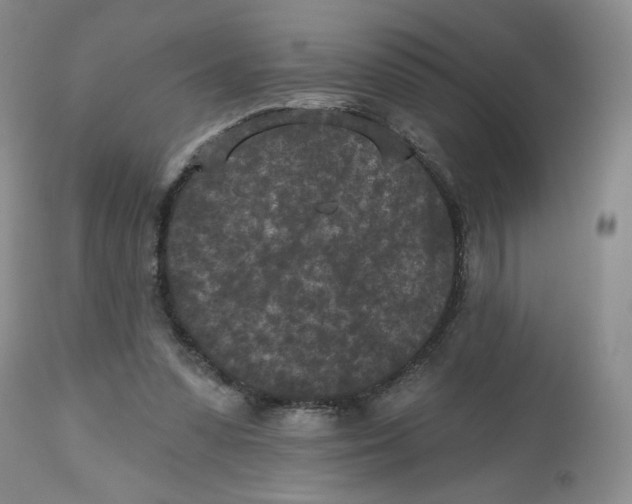 X0000112800303200909181543