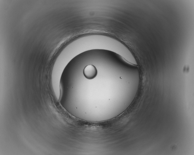 X0000112800304200909181543