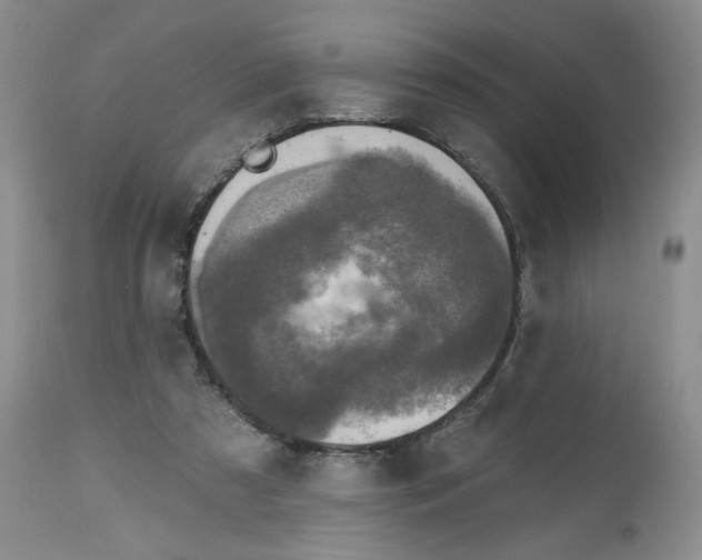 X0000112800305200909181543