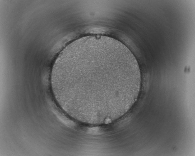 X0000112800309200909181543