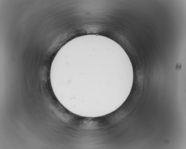 X0000112800311200909181543