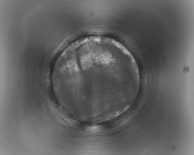 X0000112800312200909181543