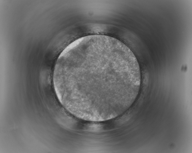 X0000112800313200909181543