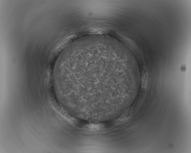X0000112800314200909181543