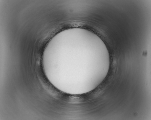X0000112800315200909181543