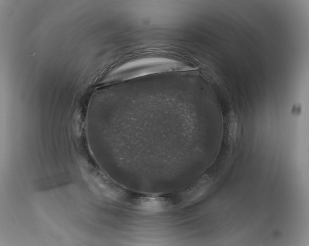 X0000112800316200909181543