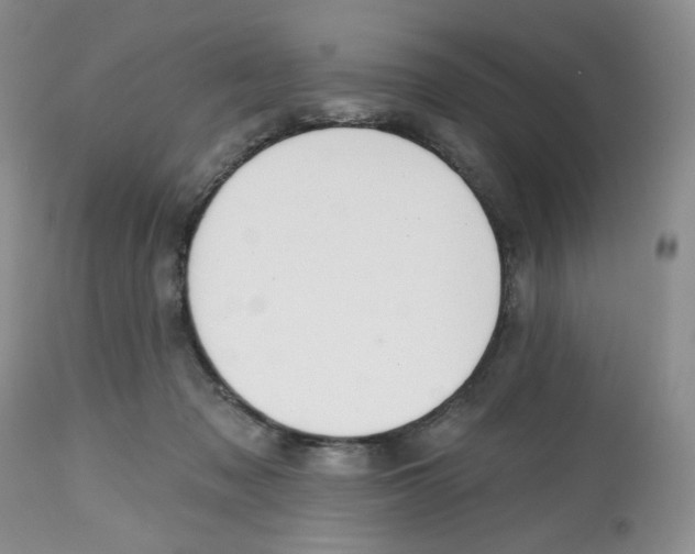 X0000112800317200909181543
